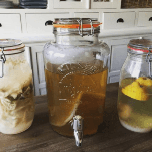fermentaties kombucha water kefir